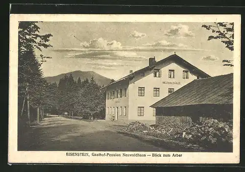AK Eisenstein, Gasthof-Pension Neuwaldhaus, Blick zum Arber