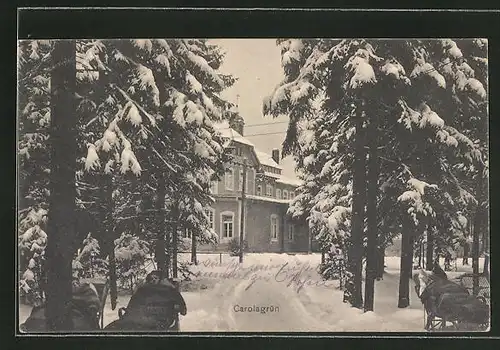 AK Carolagrün, Strasse am Waldrand im Schnee