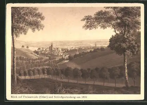 AK Freienwalde / Oder, Blick auf Ort und Schlossgartenberg