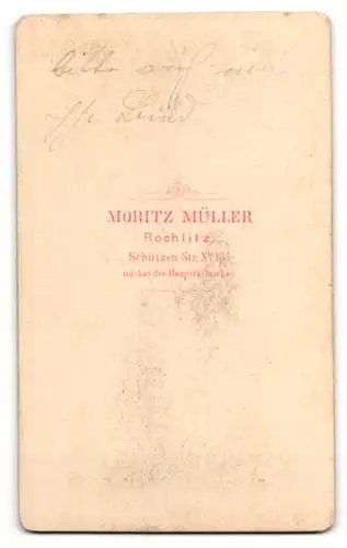 Fotografie Moritz Müller, Rochlitz, Portrait Dame mit zeitgenöss. Frisur