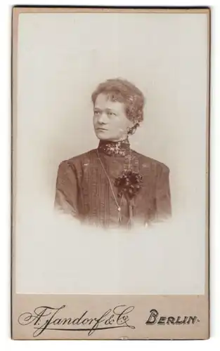 Fotografie A. Jandorf & Co., Berlin, Portrait Dame mit zusammengebundenem Haar