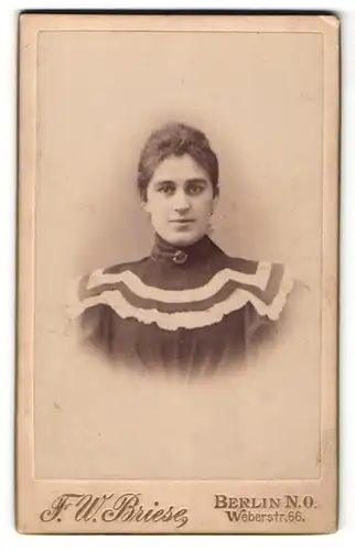 Fotografie F. W. Briese, Berlin, Portrait brünette junge Schönheit in eleganter Bluse mit Brosche und weisser Stickerei