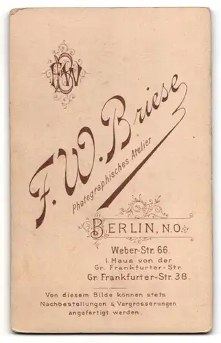 Fotografie F. W. Briese, Berlin, Portrait brünette junge Schönheit in eleganter Bluse mit Brosche und weisser Stickerei
