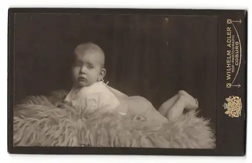 Fotografie Wilhelm Adler, Coburg, Portrait Säugling auf Fellchen