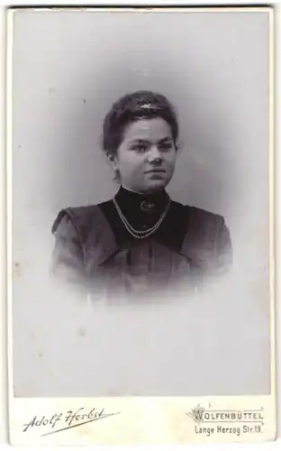 Fotografie Adolf Herbst, Wolfenbüttel, Portrait Fräulein mit zusammengebundenem Haar