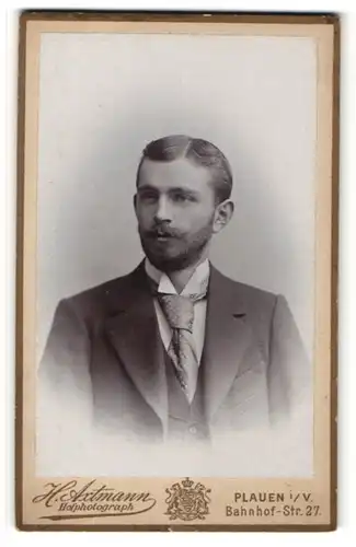 Fotografie H. Axtmann, Plauen i. V., Portrait hübscher junger Mann mit Vollbart und Krawatte