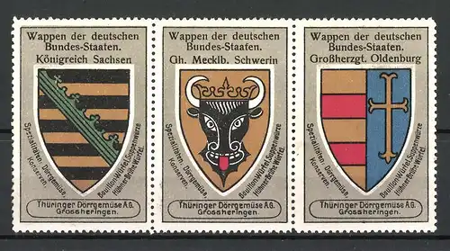 Reklamemarke Wappen Königreich Sachsen, Gh. Mecklb. Schwerin und Grossherzgt. Oldenburg