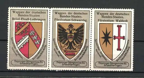 Reklamemarke Wappen Rchsl. Elsass-Lothringen, Fürstentum Schwarzbg. und Fürstentum Waldeck