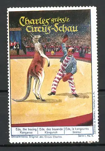 Reklamemarke Circus Charles, grösste Circus Schau, Ede das boxende Känguruh