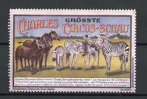 Reklamemarke Circus Charles, grösste Circus Schau, Bergzebraherde