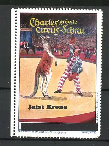 Reklamemarke Circus Charles, grösste Circus Schau, Dompteur mit Kängeruh in der Manege