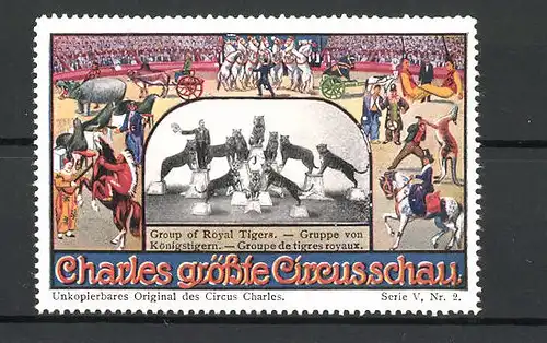 Reklamemarke Circus Charles, grösste Circus-Schau, Gruppe Königstigern mit Dompteur auf Podesten