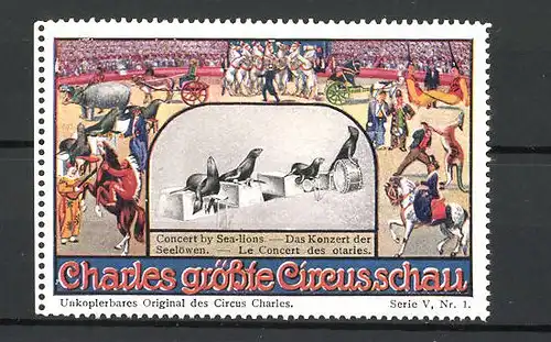 Reklamemarke Circus Charles, grösste Circus-Schau, das Konzert der Seelöwen