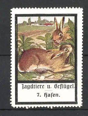 Reklamemarke Jagdtiere und Geflügel, Hasen