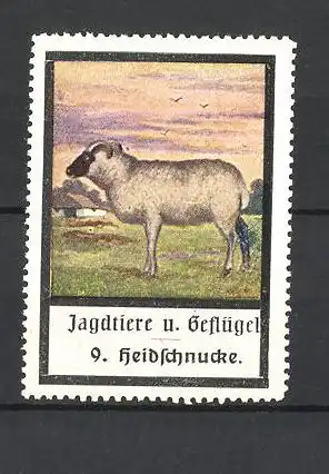 Reklamemarke Jagdtiere und Geflügel, Heidschnucke