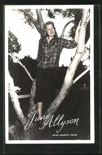 AK Schauspielerin June Allyson auf einem Baum