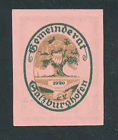 Notgeld Salzburghofen 1920, 10 Pfennig, Brücke und Wappen