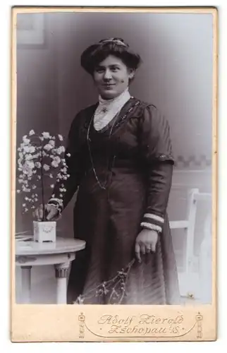 Fotografie Adolf Zierold, Zschopau i/S, Portrait Dame mit Hochsteckfrisur