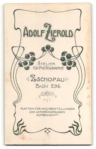 Fotografie Adolf Zierold, Zschopau i/S, Portrait Frau in zeitgenöss. Garderobe