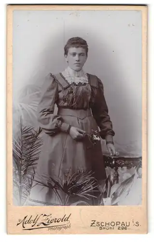 Fotografie Adolf Zierold, Zschopau i/S, Portrait junge Frau in zeitgenöss. Kleidung