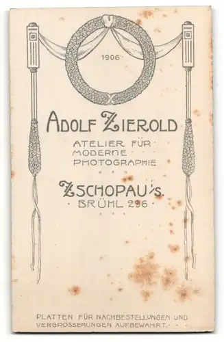 Fotografie Adolf Zierold, Zschopau i/S, Portrait Fräulein mit Hochsteckfrisur
