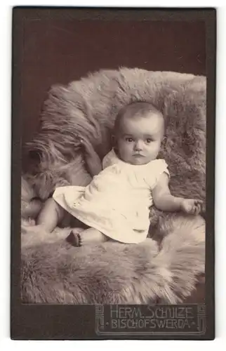 Fotografie Herm. Schulze, Bischofswerda, Portrait Säugling in Kleidchen