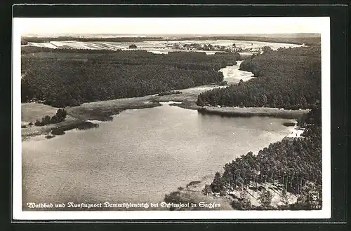 AK Ochsensaal / Sa., Dammühlenteich aus der Vogelschau