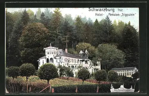 AK Schwarzburg / Thür., Hotel-Pension Trippstein