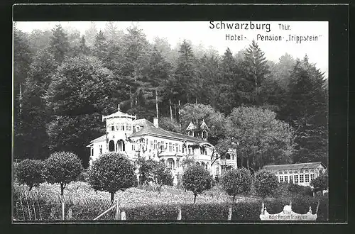 AK Schwarzburg i. Thür., Hotel und Pension "Trippstein"