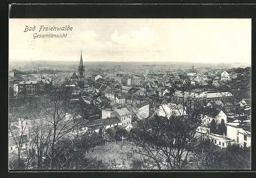 AK Bad Freienwalde, Teilansicht mit Kirche