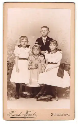 Fotografie Bernh. Franke, Spremberg, Portrait Bub und drei jüngere Schwestern