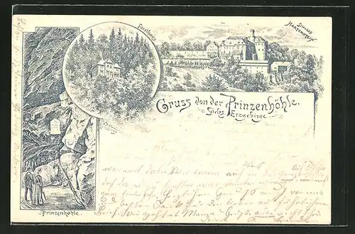 Lithographie Hartenstein, Gasthaus Forsthaus, an der Prinzenhöhle, Schloss