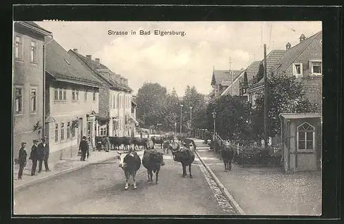 AK Bad Elgersburg, Kuhtrieb auf einer Strasse der Ortschaft