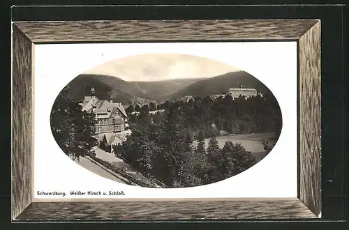 AK Schwarzburg, Hotel Weisser Hirsch und Schloss