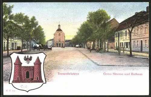 Relief-AK Treuenbrietzen, Grosse Strasse mit Rathaus, Wappen