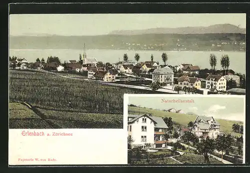 AK Erlenbach, Ortspartie mit Zürichsee, Naturheilanstalt