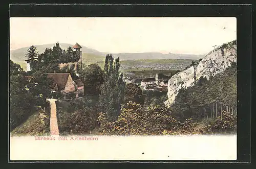 AK Birseck mit Arlesheim, Blick vom Berg auf den Ort