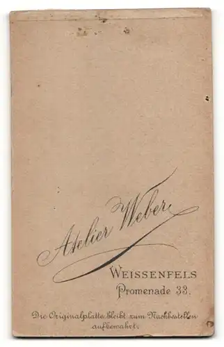 Fotografie Theodor Weber, Weissenfels, Junger Bursche mit modischen Haarschnitt