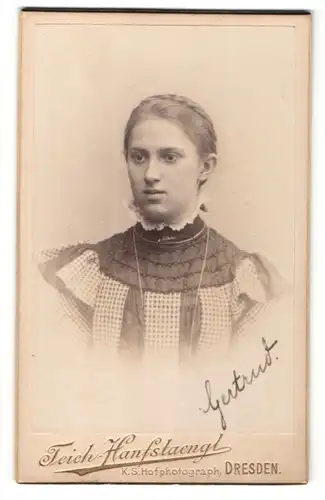 Fotografie Teich-Hanfstaengl, Dresden, Portrait Fräulein mit zusammengebundenem Haar