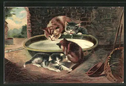Lithographie Kätzchen trinken aus Schale