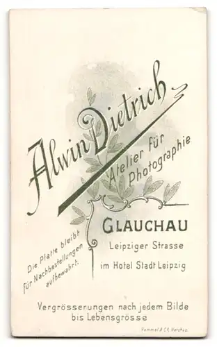 Fotografie A. Dietrich, Glauchau & Waldenburg, Portrait junge Frau mit zusammengebundenem Haar