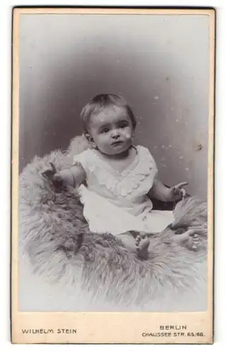 Fotografie Wilhelm Stein, Berlin, Portrait Säugling in Leibchen