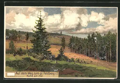 Lithographie Feldberg / Taunus, Auf dem Weg zum Gipfel