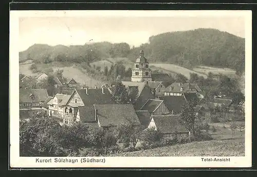 AK Sülzhayn / Südharz, Totalansicht