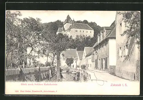 AK Liebstadt i. S., Kanalpartie mit Blick nach Schloss Kukukstein