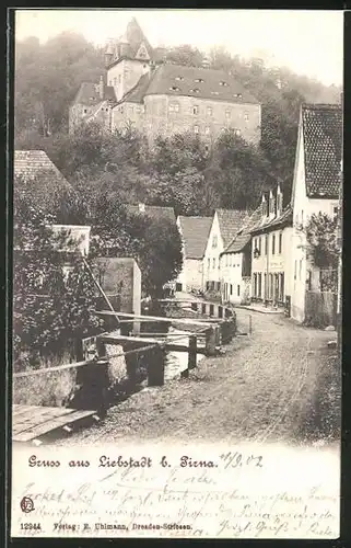 AK Liebstadt, Strasse mit Blick zum Schloss