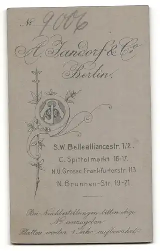 Fotografie A. Jandorf, Berlin, Portrait ernste Dame in edler Bluse mit Brosche