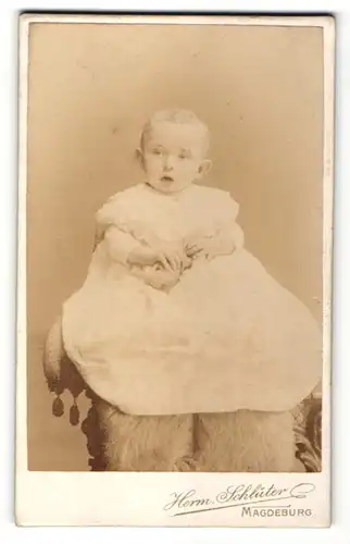 Fotografie Herm. Schlüter, Magdeburg, Neugeborenes in Kleid auf einem Sessel