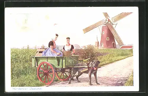 AK Hondenkar, Frauen im Hundegespann mit Windmühle