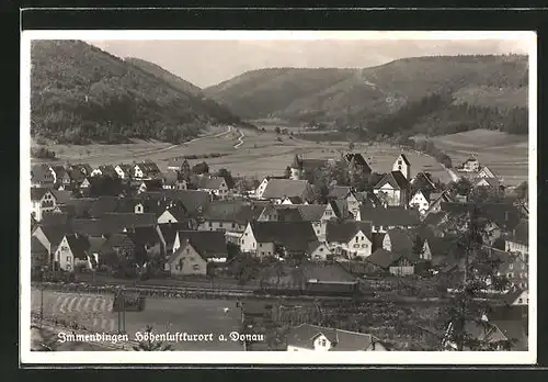 AK Immendingen a. Donau, Gesamtansicht